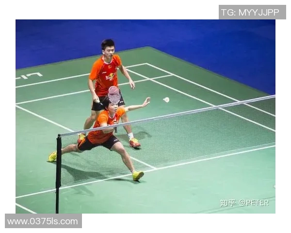 武汉羽毛球队攻防战术创新探索与实践分析