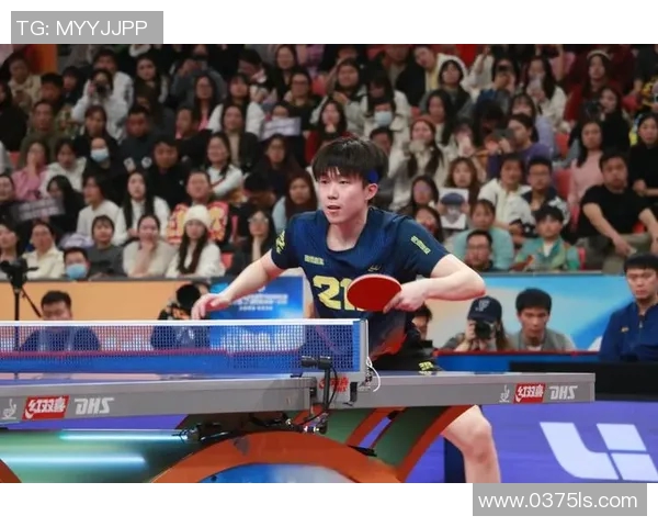 乒乓球的魅力与挑战：深入探讨南京乒乓球队的转型与发展之路