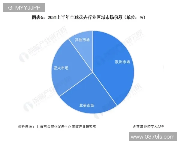 北京网球队的管理模式与发展策略深度分析与解读