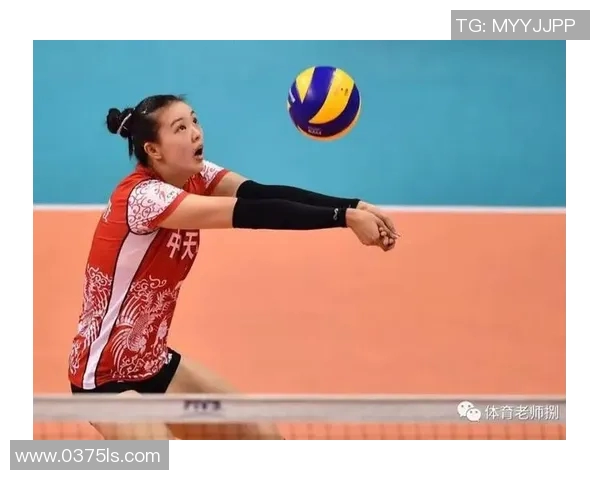 排球新手必看：从基础技术到实战技巧的全面入门指南