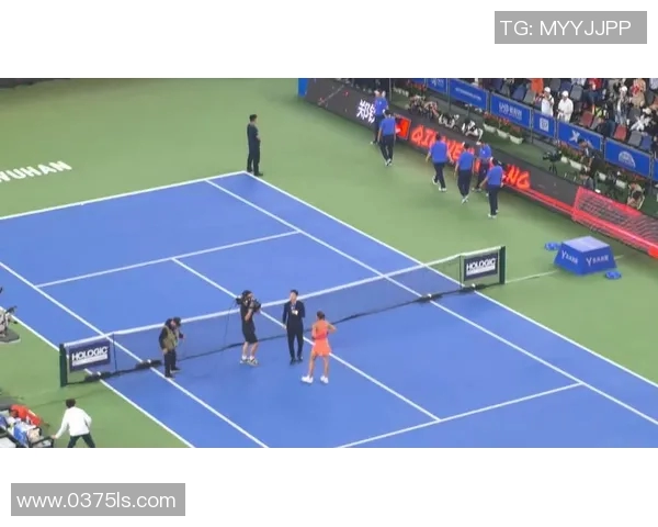 武汉网球队与南京网球队赛后分析节奏变化与战术对比