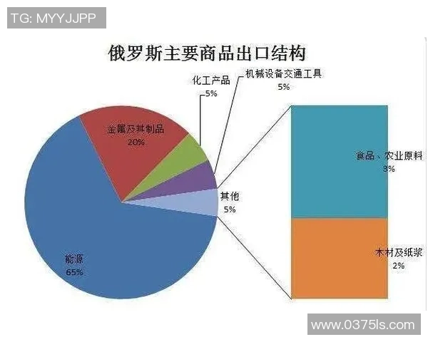 重庆网球队实力分析与联赛表现评估的全面解读