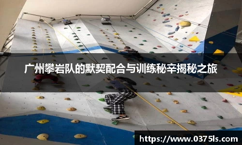 必一运动B-Sports官方网站