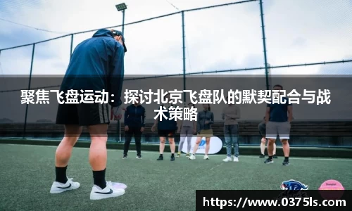 必一运动B-Sports