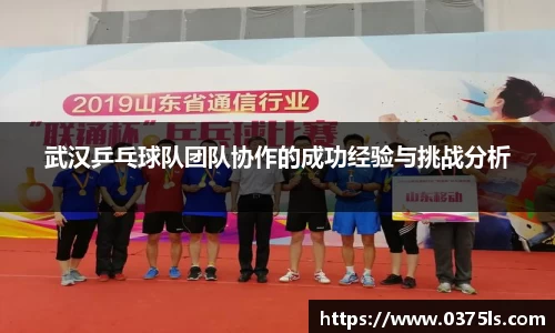 武汉乒乓球队团队协作的成功经验与挑战分析