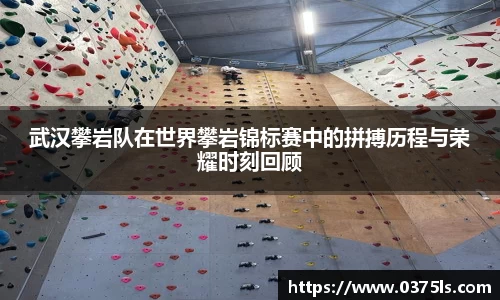 武汉攀岩队在世界攀岩锦标赛中的拼搏历程与荣耀时刻回顾