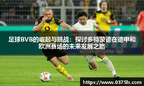 优游国际共创未来